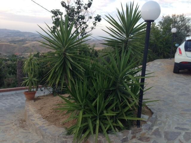 B&B Profumi Di Sicilia San Cataldo  Bagian luar foto